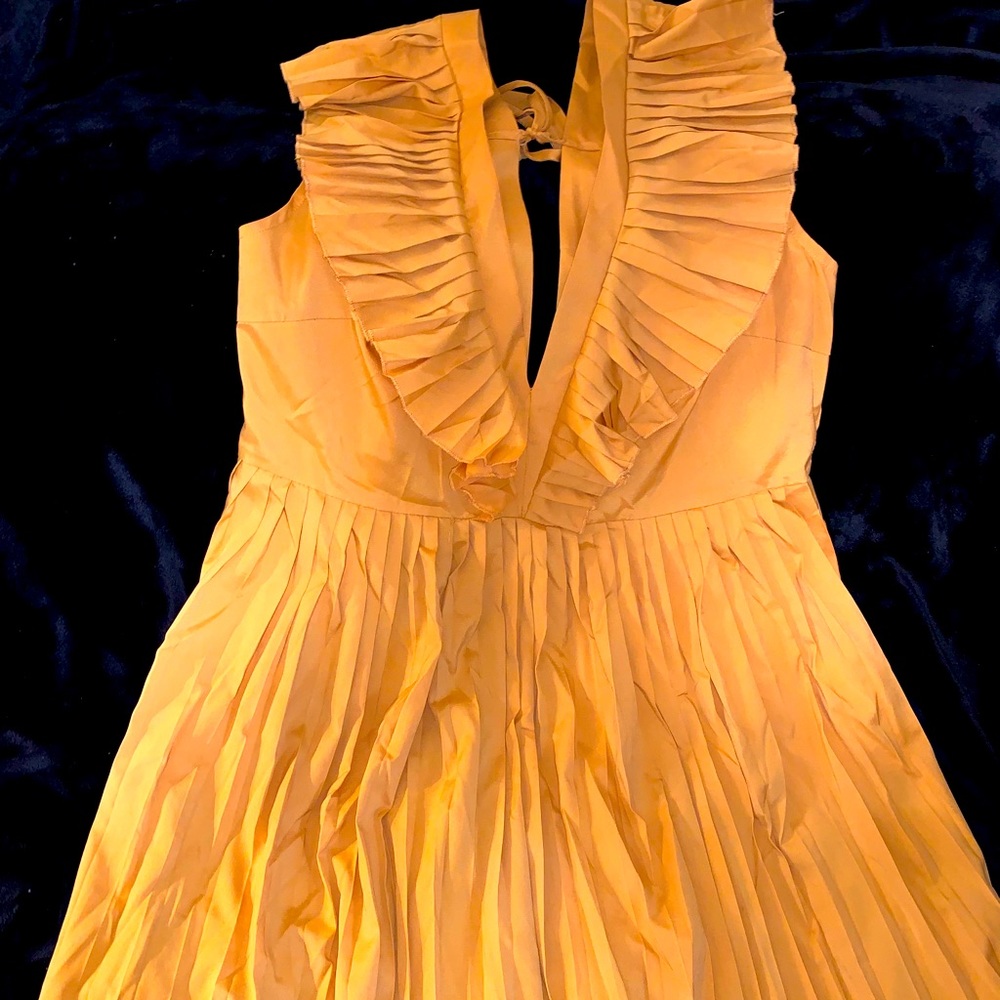 Glamaker Golden Pleated Dress